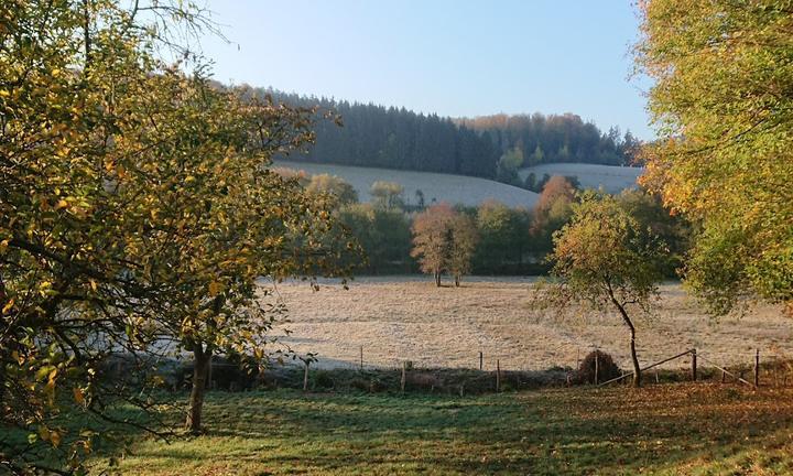 Gasthaus im Hochspessart